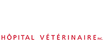 Logo d'À mon chat à mon chien